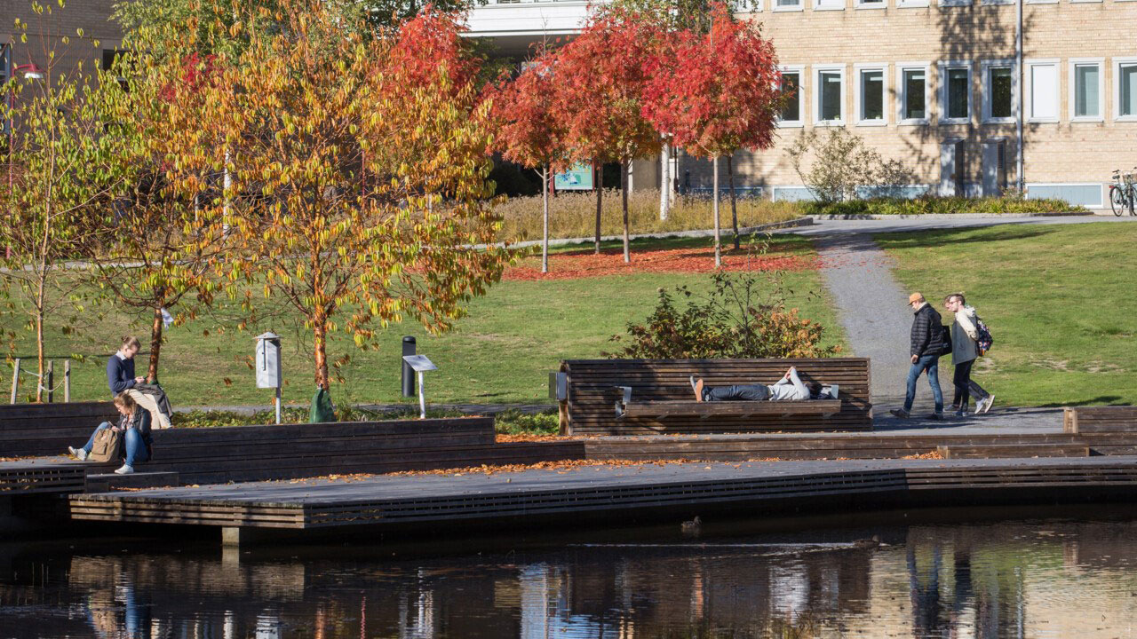 Umeå universitets teknisk-naturvetenskapliga program ökar kraftigt. Foto: Ulrika Bergfors.