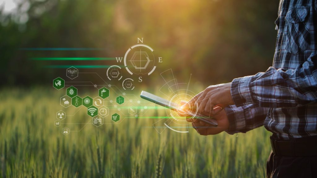 Farmer using digital tablet